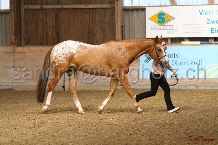 24-ApHC HIH_097.jpg